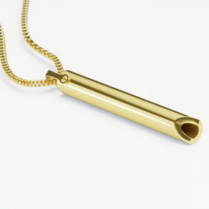 BreathLink – Smoke Free Journey Companion
