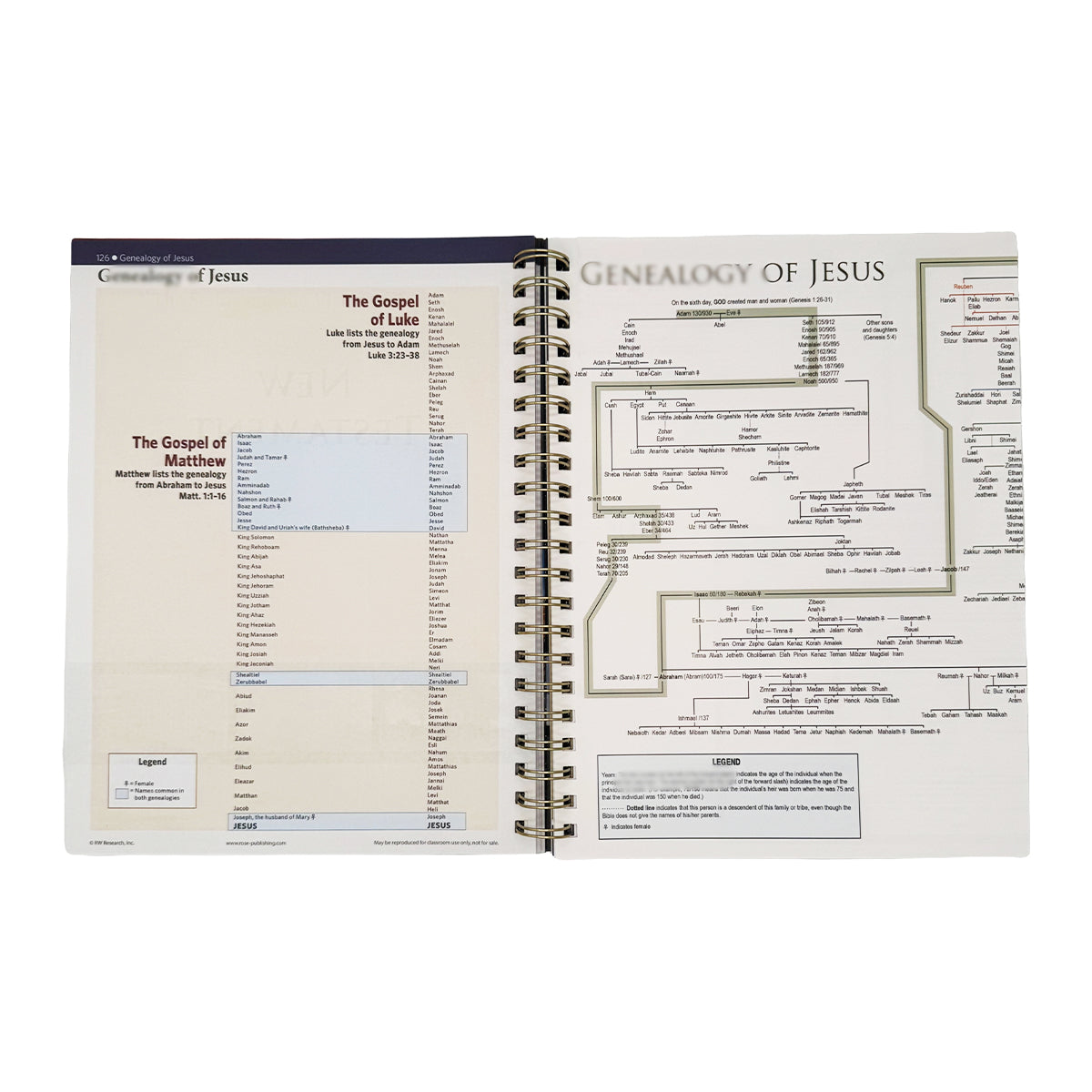 Rose Book – Visual Bible Charts, Maps & Timelines