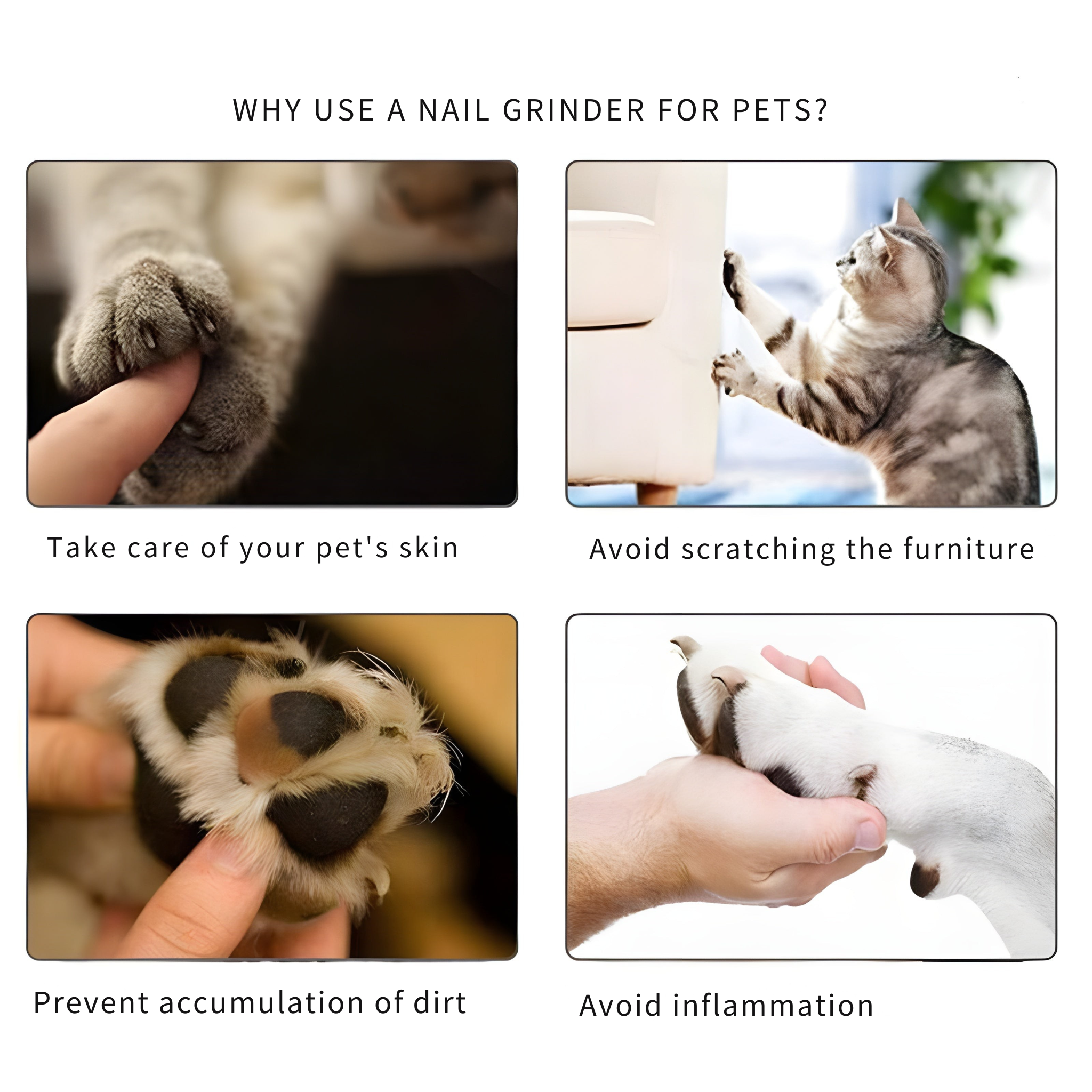 PawEase – Stress Free Nail File