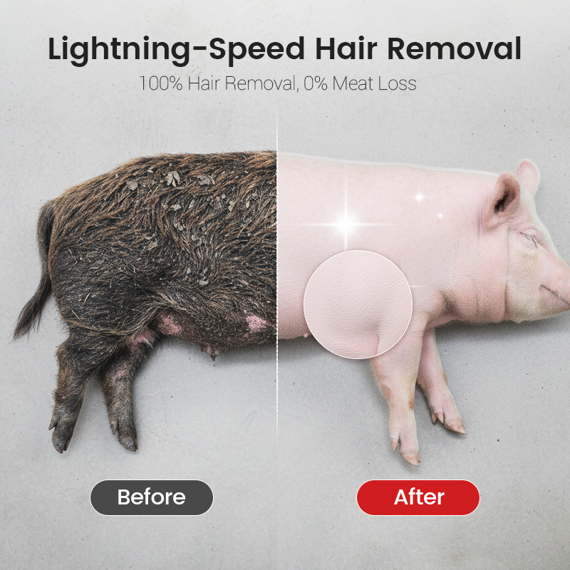 FarmEdge – Professional Pig Hair Removal Scraper Disc