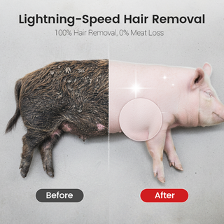 FarmEdge – Professional Pig Hair Removal Scraper Disc