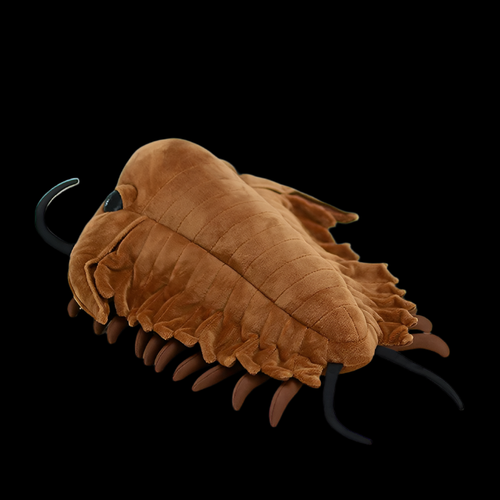 ArthroCuddle – Trilobite Soft Plush