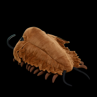 ArthroCuddle – Trilobite Soft Plush
