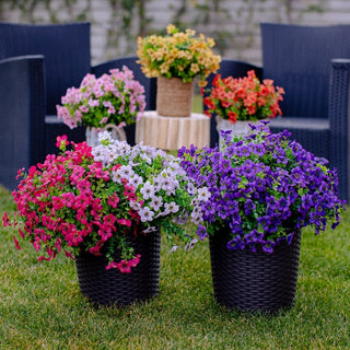 PureFlora – Realistic UV Resistant Decorative Flowers