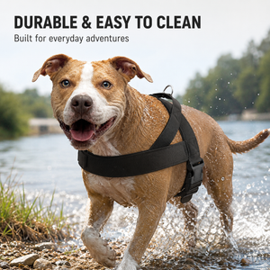 PawGuard – No-Pull Dog Harness