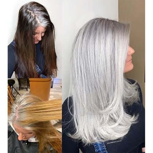 Silvique | Platinum Gray Shine Hair Dye