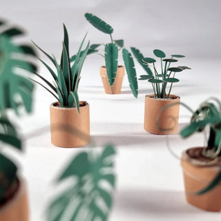 PaperPaws – A Cat Lover’s DIY Paradise