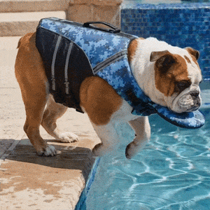 🐾Dog Life Jacket - High Buoyancy Foam, Adjustable Fit