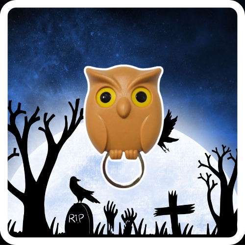 HootNest | The Spooky Owl Key Holder