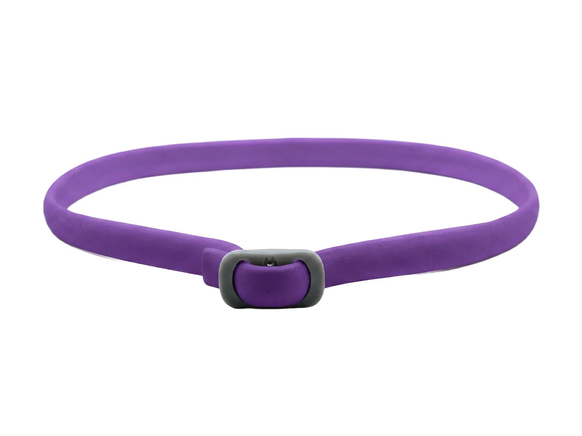 PetGuard – Natural Pest Protection Collar