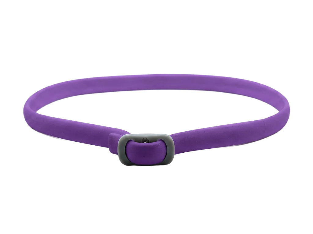 PetGuard – Natural Pest Protection Collar