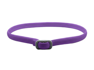 PetGuard – Natural Pest Protection Collar
