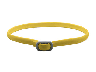 PetGuard – Natural Pest Protection Collar