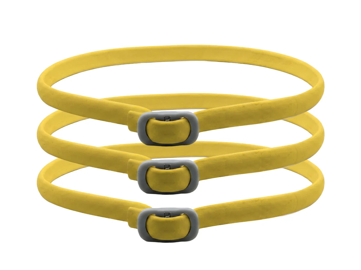 PetGuard – Natural Pest Protection Collar