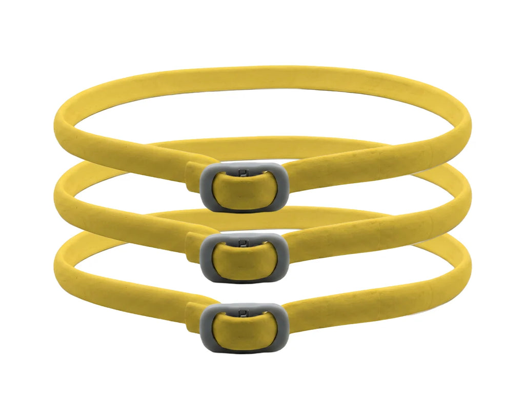 PetGuard – Natural Pest Protection Collar
