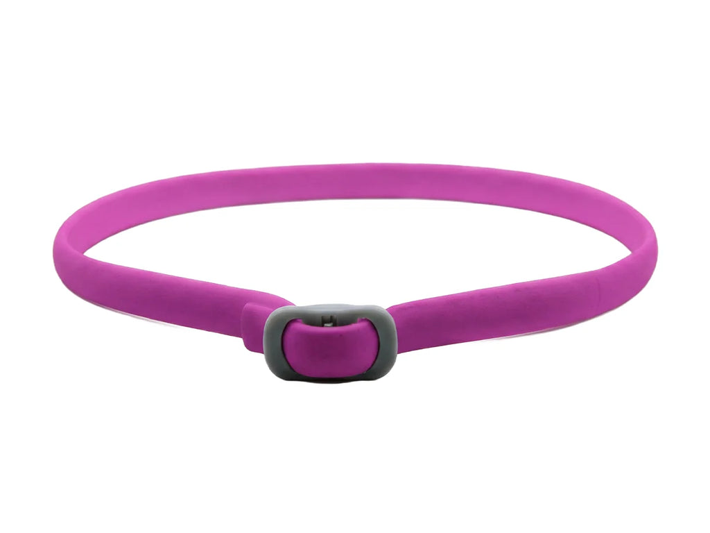 PetGuard – Natural Pest Protection Collar