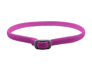 PetGuard – Natural Pest Protection Collar
