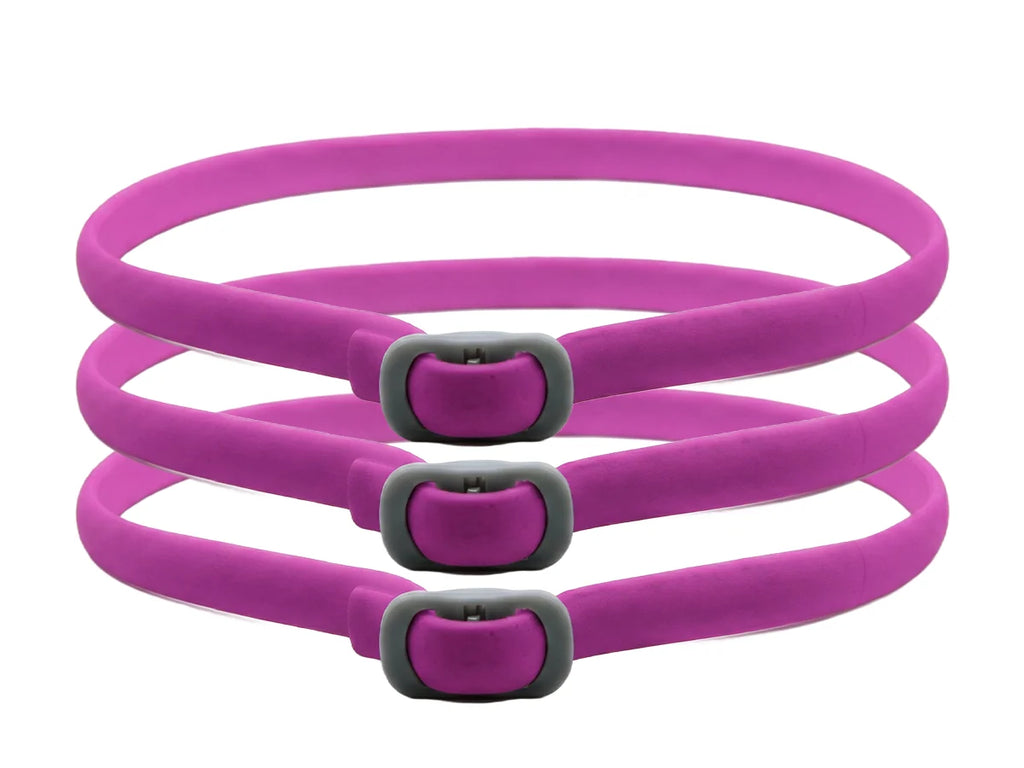 PetGuard – Natural Pest Protection Collar