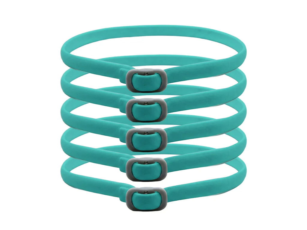 PetGuard – Natural Pest Protection Collar