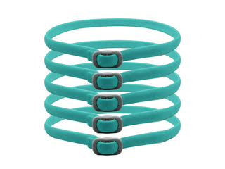 PetGuard – Natural Pest Protection Collar