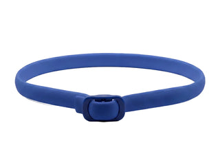 PetGuard – Natural Pest Protection Collar