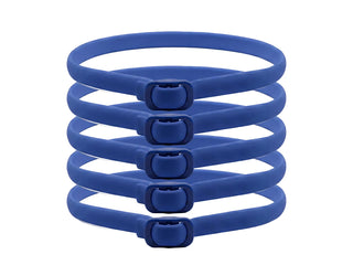 PetGuard – Natural Pest Protection Collar