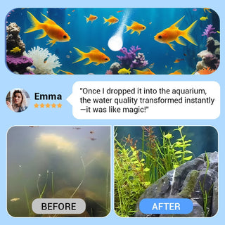 AquaPure – Water Purification Tablets