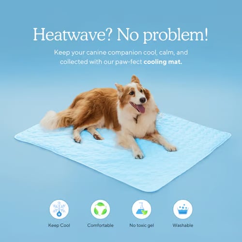 CooliPet – Smart 4X Effective Pet Cooling Mat