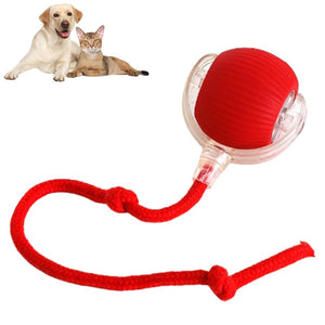 PetPlay - Smart Interactive Pet Toy Ball