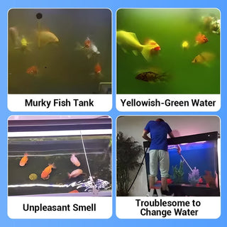 AquaPure – Water Purification Tablets
