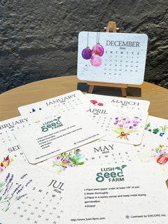 ✨New Arrivals 49% OFF Today🌱Eco-Friendly Plantable Love Seed Calendar 2026