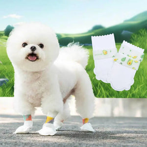 PawShield – Waterproof Disposable Paw Protection Booties