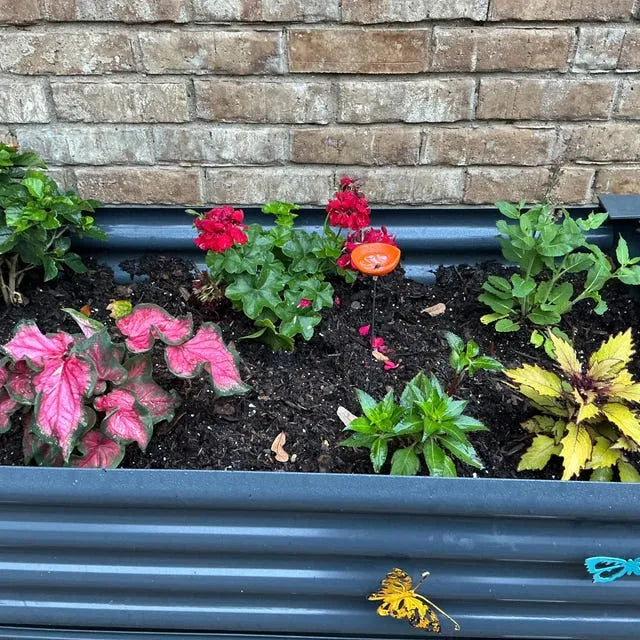 FlutterQuench – Complete Garden Drink Station Set