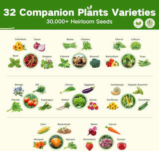 Herbal Wisdom - Vintage Seed Chest Collection