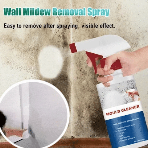 MoldAway – Powerful Mildew Cleaning Foam