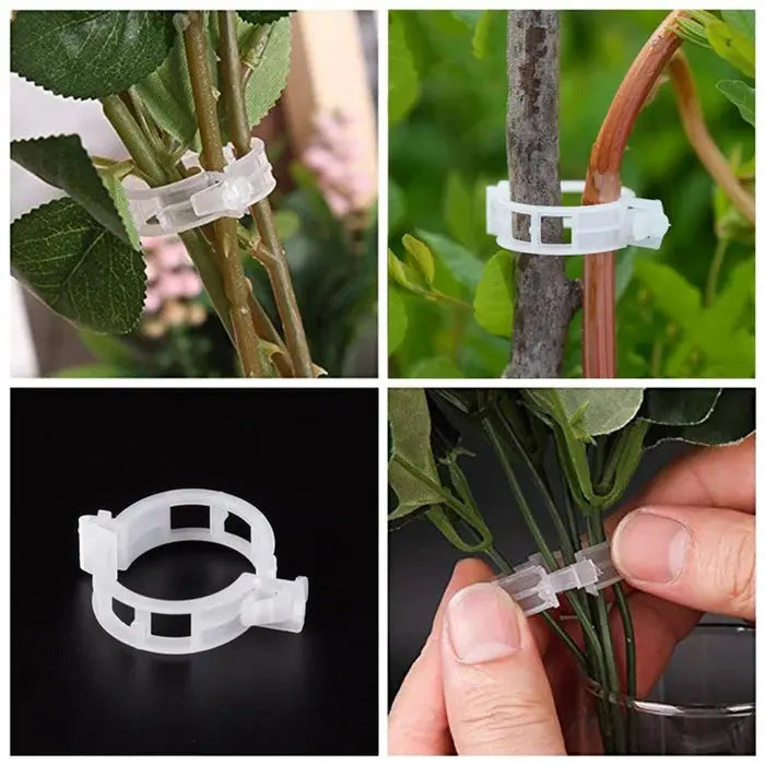Plant Support Clips marnetic