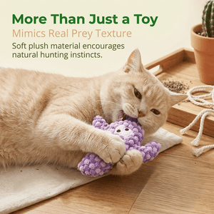 CatnipCove - Cactus Play Toy Collection
