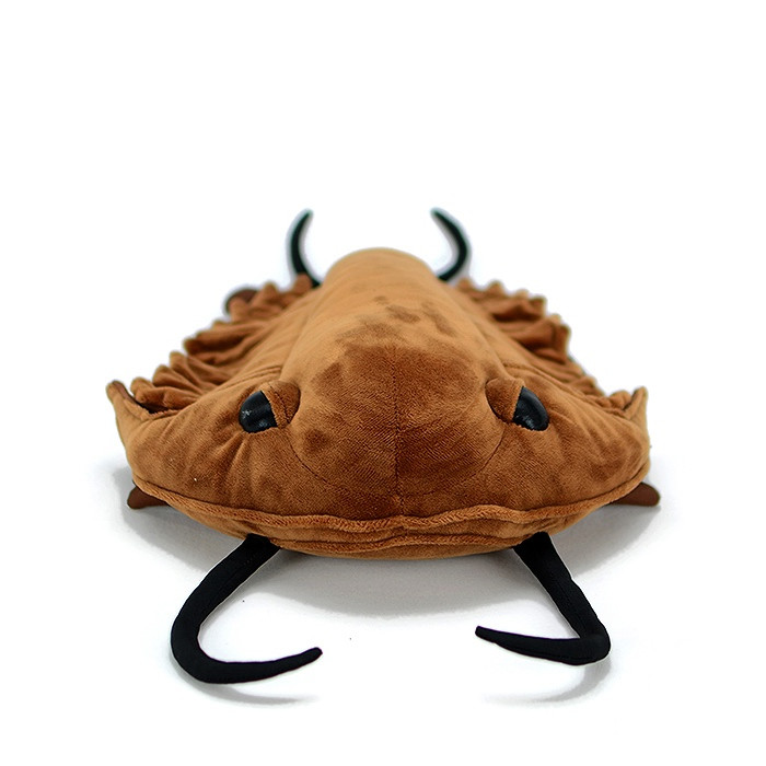 ArthroCuddle – Trilobite Soft Plush