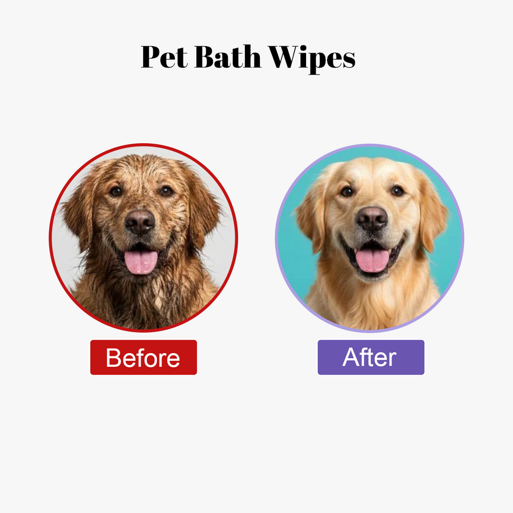 PawFresh – Deodorizing Glove Wipes for Dogs & Cats