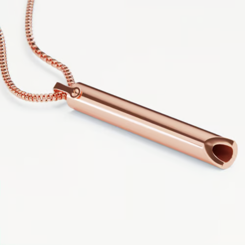 BreathLink – Smoke Free Journey Companion