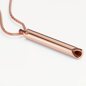 BreathLink – Smoke Free Journey Companion