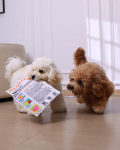 PupChronicle – Interactive Dog Toy