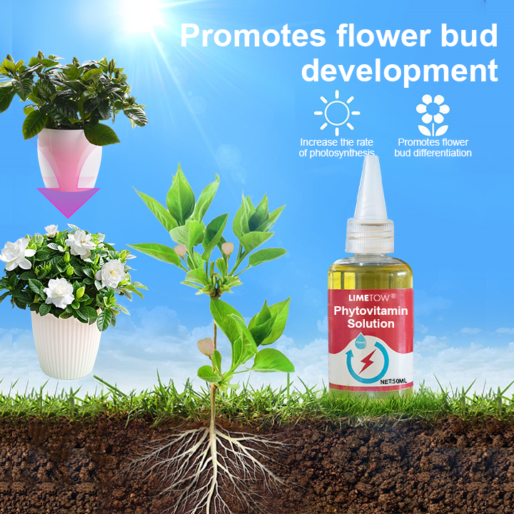 GreenCore – Multi-Purpose Plant Vitality Drops