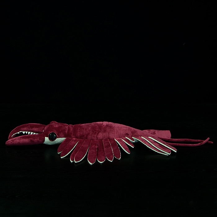AnomaPlush – Ancient Arthropod Soft Toy