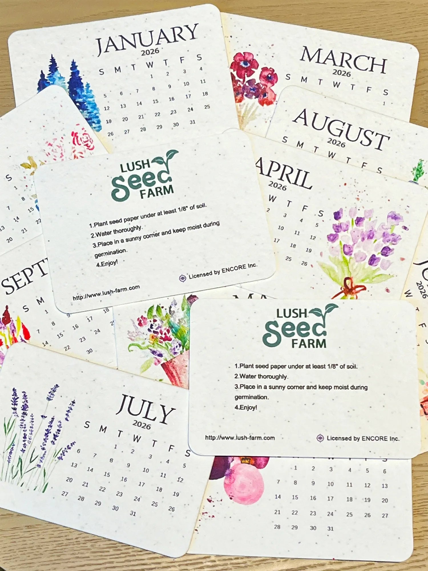 Eco-Friendly Plantable - Love Seed Calendar 2026