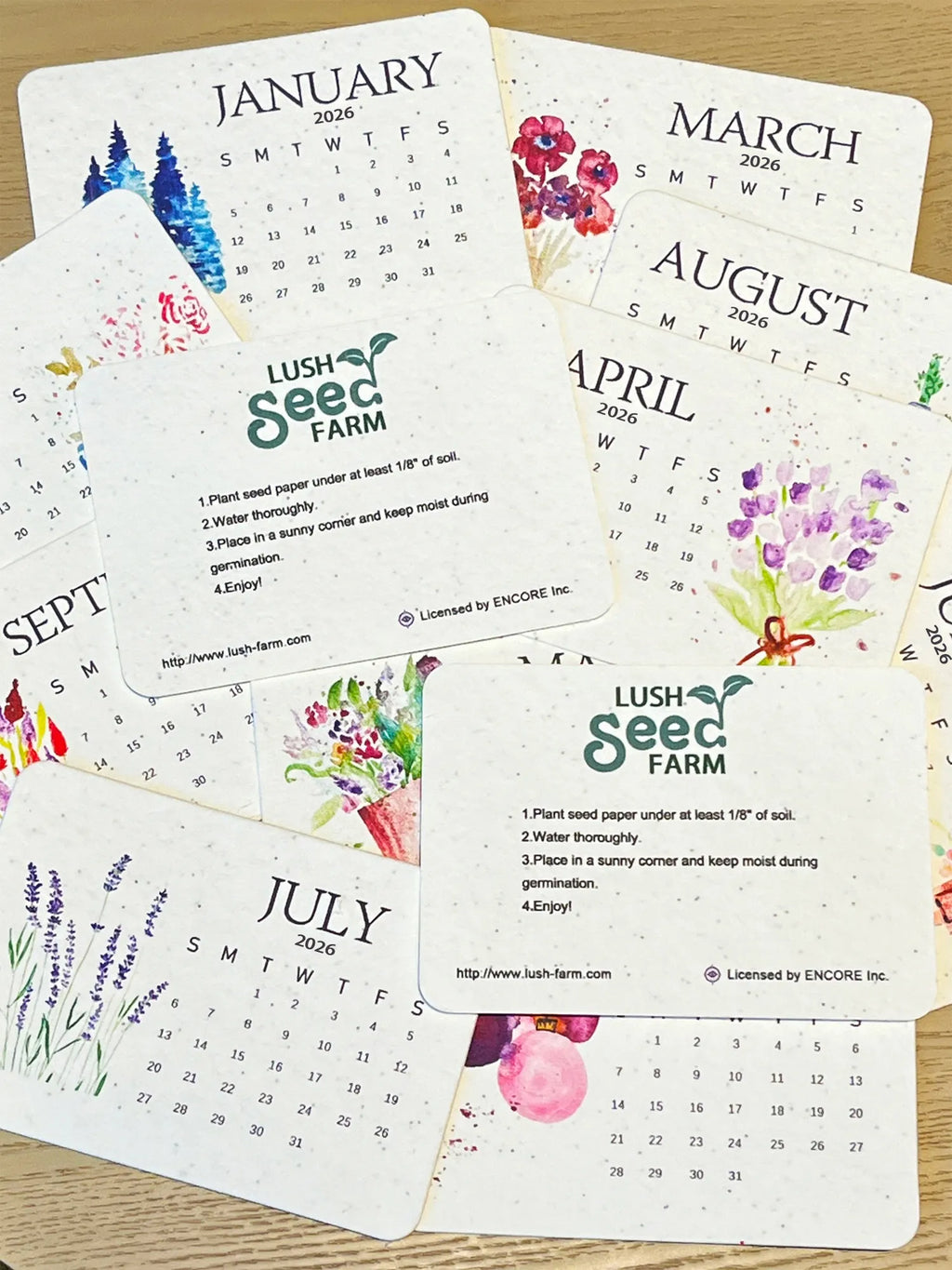 Eco-Friendly Plantable - Love Seed Calendar 2026