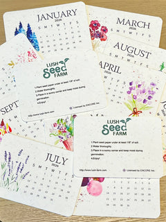 Eco-Friendly Plantable - Love Seed Calendar 2026