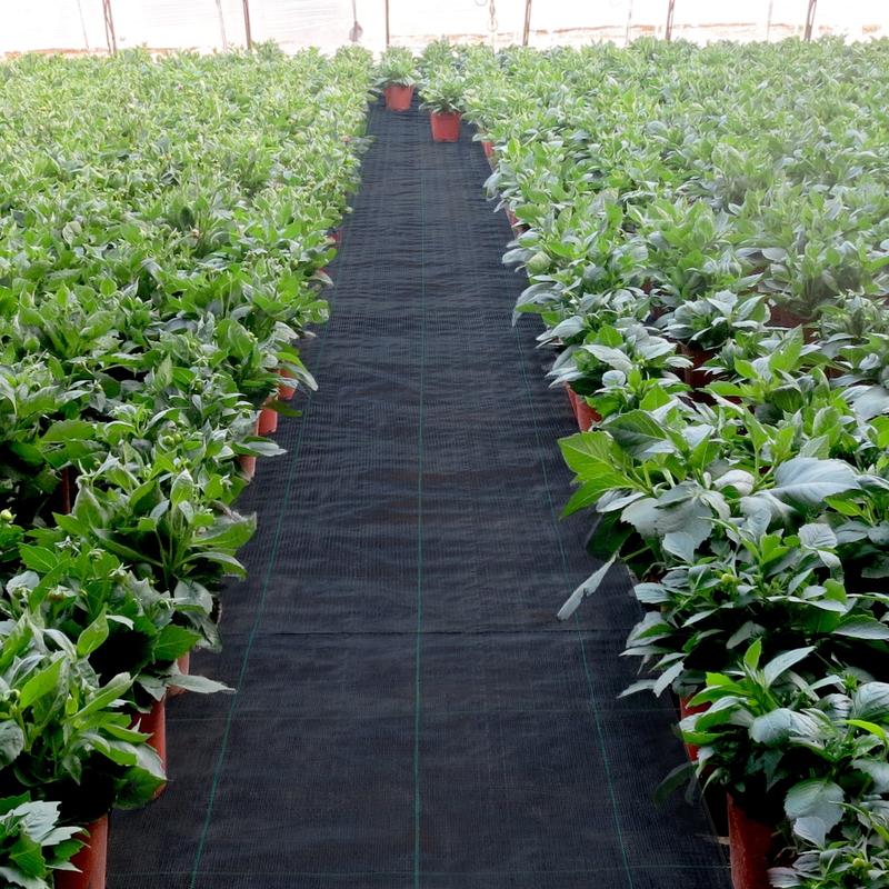 EcoGuard - Ultimate Weed Prevention Fabric