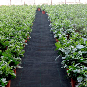 EcoGuard - Ultimate Weed Prevention Fabric