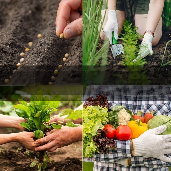 GreenShield – Survival Seed Vault for Long-Term Food Security